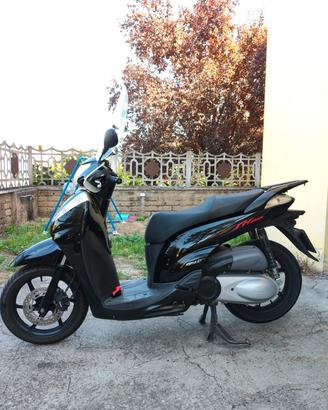 SH 300 /2010 / 1800 euro 