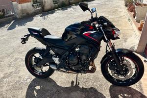 Kawasaki Z650 - Anno 2023