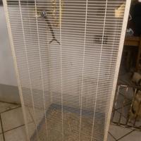 voliera per uccelli/pappagalli