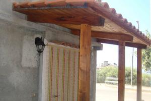 Tropea in campagna 3 - tulipano