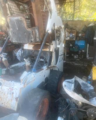 Bobcat 773