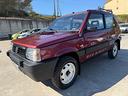 fiat-panda-1-0-fire-sisley-4x4-gancio-traino
