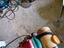 Immagine 1