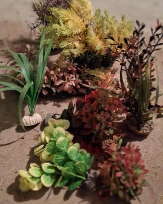 Decorazioni acquario