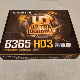 Scheda Madre Gigabyte B365 HD3