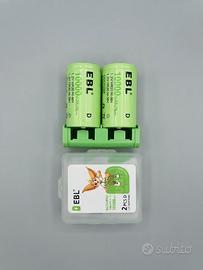 Coppia Batterie Ricaricabili EBL Tipo D (Torcia)