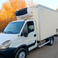 iveco Daily 65C60 cella frigo libero di licenza 