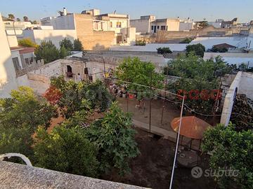 Casa Indipendente Sava [1105VRG]