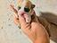 Immagine 1