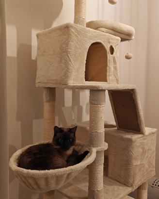 Torre per gatti