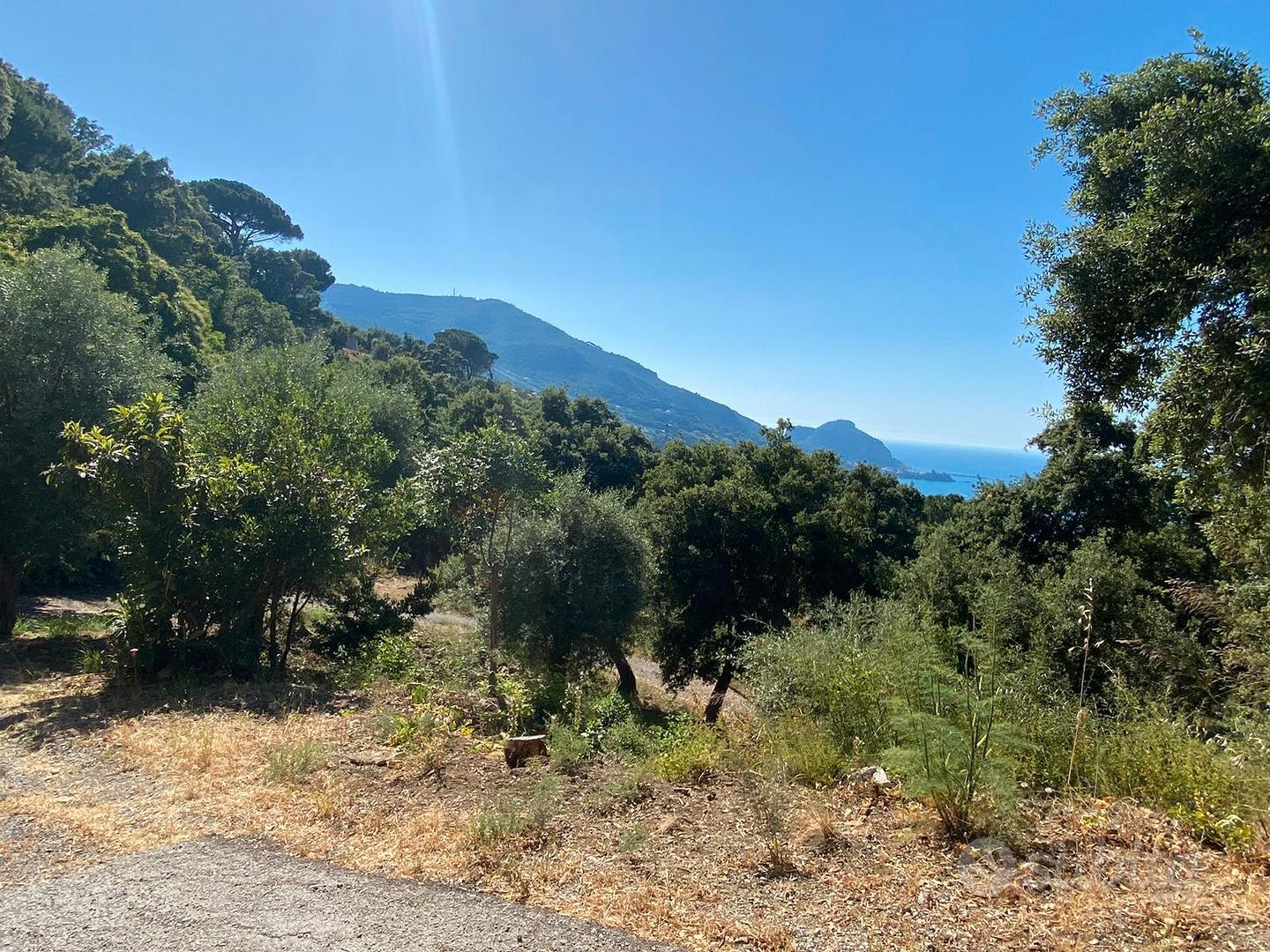 Terreno immerso nel verde con progetto approvato - Vista 4