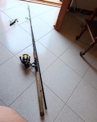 Canna Savage Gear + Shimano Nasci 400