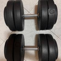 Coppia di manubri da 25 chili l’uno