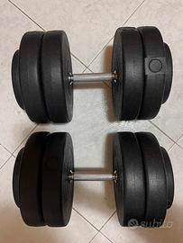 Coppia di manubri da 25 chili l’uno