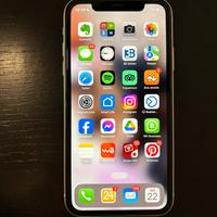 IPHONE Xr tenuto benissimo sempre con custodia