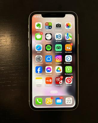 IPHONE Xr tenuto benissimo sempre con custodia
