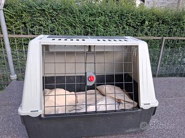 cuccia/trasportino per cani 