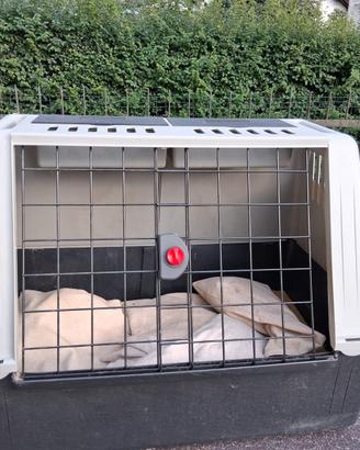 cuccia/trasportino per cani 