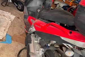 Scooter nexus 500