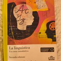 la linguistica: un corso introduttivo 
