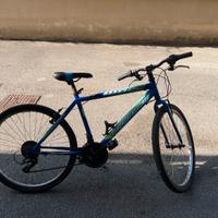 Mountain bike
