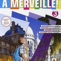 A merveille vol 3 + Activebook