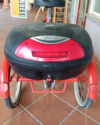 Bicicletta ELETTRICA a 3 ruote TRICICLO