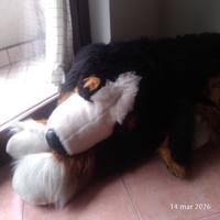Peluche cane