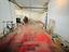 Immagine 14