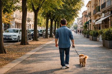 Disponibile DogSitter