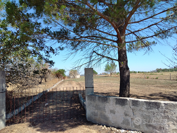 Terreno agricolo di 2200mq con piccolo annesso