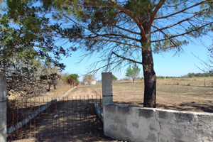 Terreno agricolo di 2200mq con piccolo annesso