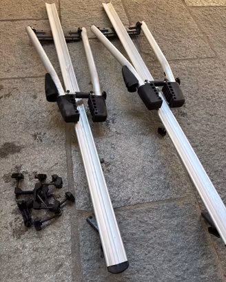 Portabici da tetto auto