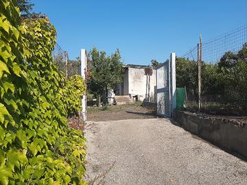 Splendido terreno agricolo  di 1600 mq a Trecase 