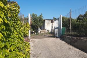 Splendido terreno agricolo  di 1600 mq a Trecase 