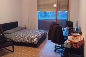 Camera singola Bologna