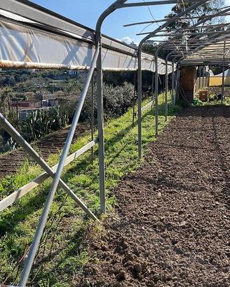 Serre agricole