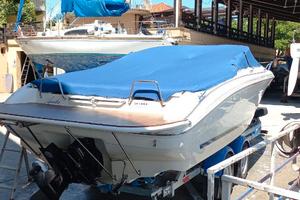 Sea Ray 230 OVSS