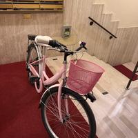 Bicicletta ragazza Zanchi