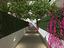 Immagine 16