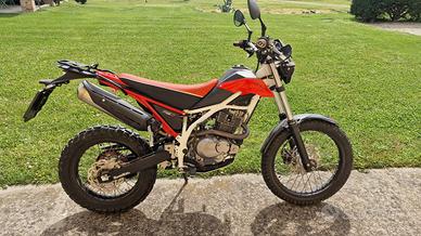 Beta Urban 200