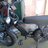 bicicletta elettrica