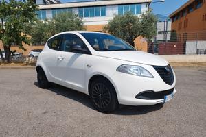Lancia Ypsilon 1.2 69 CV 5 porte Elefantino - euro