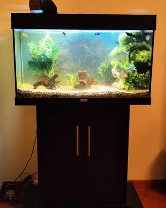 Acquario 100L + Mobiletto 2 ante + Pesci