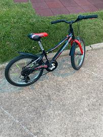 Bicicletta da bambino