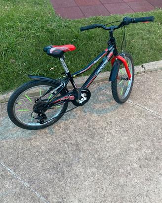 Bicicletta da bambino