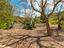 Immagine 24