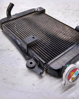 HONDA SH I 300 RADIATORE E TAPPO 2011 2014 ZDCNF02