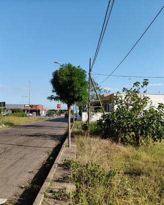 Terreno Edificabile su strada principale