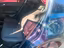 Immagine 9